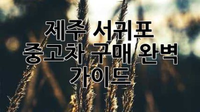 제주 서귀포 중고차 구매 완벽 가이드